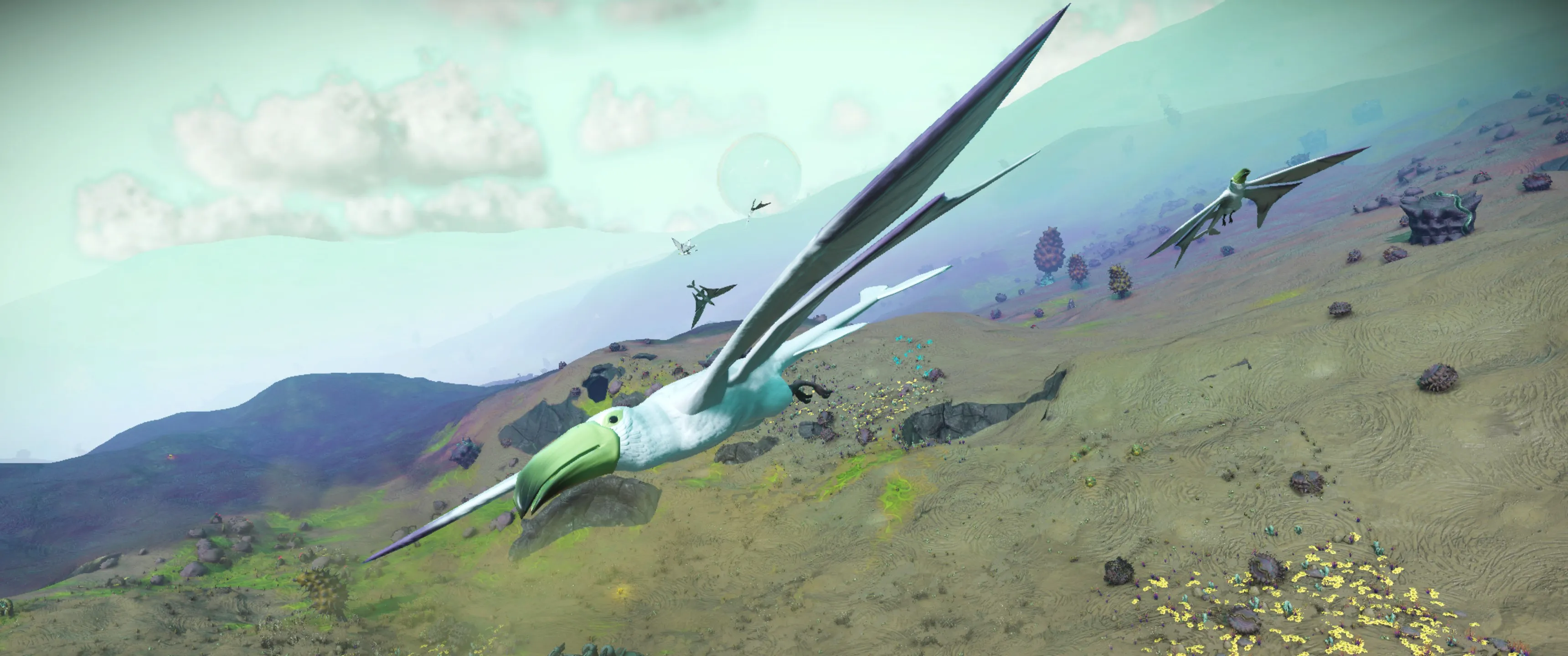 Large Avian Creatures
